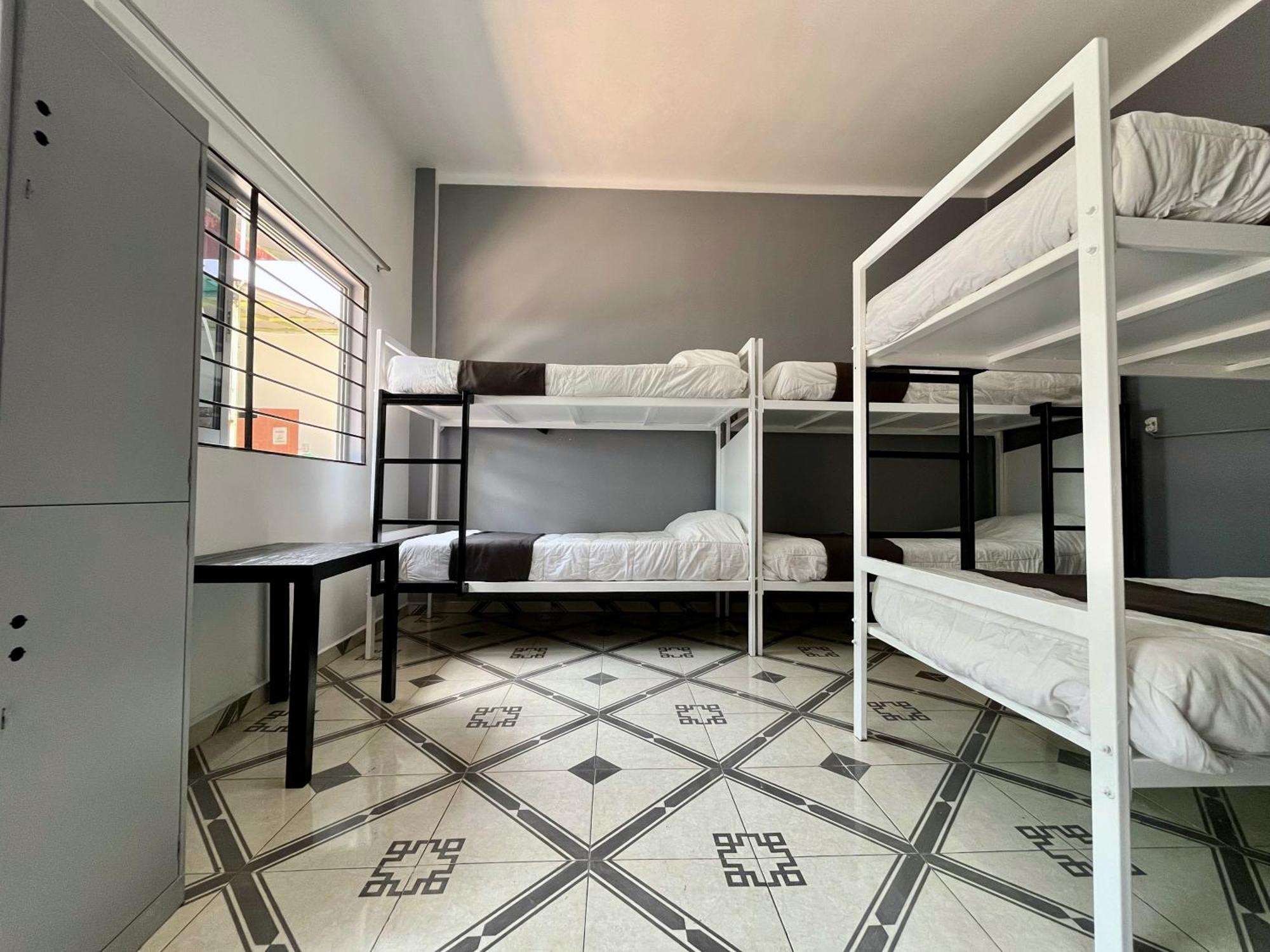 Alto Hostel Mexico City Exterior photo
